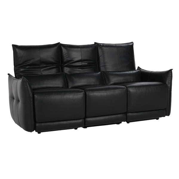 Amsterdam Leather Power Recliner Sofa