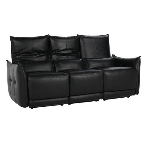 Amsterdam Leather Power Recliner Sofa