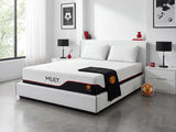 MLILY Dream