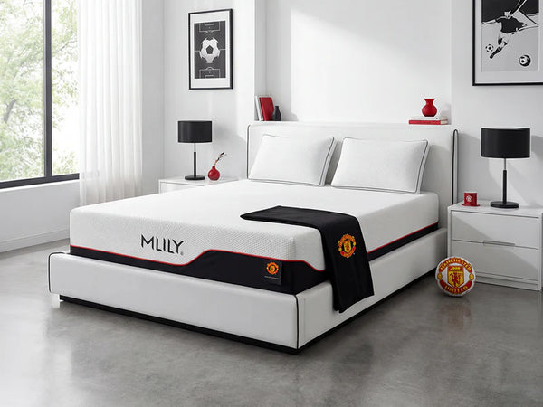 MLILY Dream