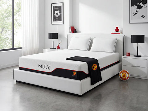 MLILY Dream